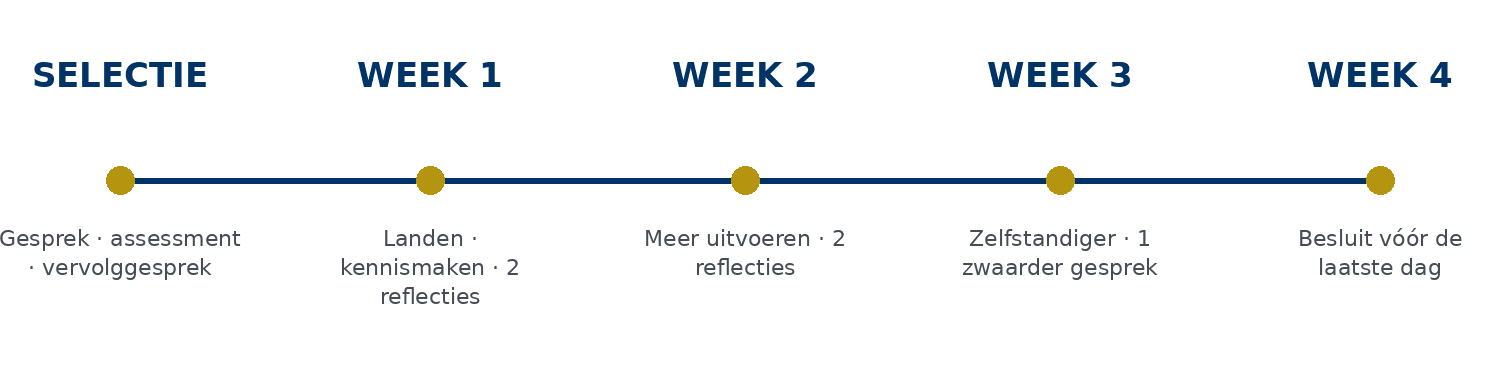 Tijdlijn van selectie, onboarding, reflectiemomenten en het proeftijdbesluit